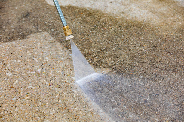 Animal Enclosure Cleaning in Pine Island, TX