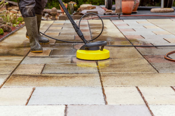 Best Roof Washing  in Pine Island, TX